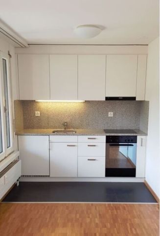 2.5-room apartment in Brunaupark - Foto 2