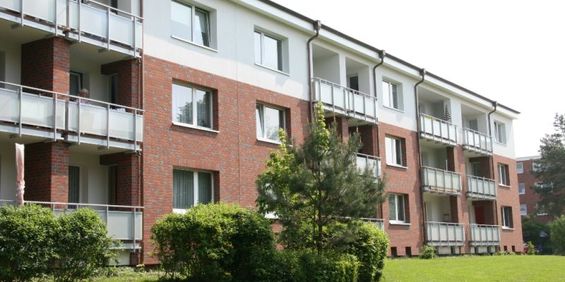 schöne 3 Zimmer Mietwohnung in Elmshorn - Photo 3