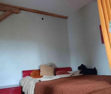 1 Zimmer, 35 m², EG - Photo 1