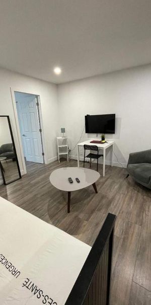 1 CH - 1 SDB - Montréal - $1,295 /mo - Photo 1