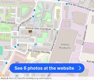 TYPE 5 SAINT-DIE-DES-VOSGES - Photo 1