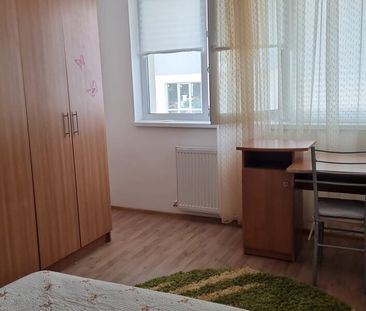 Berceni, Oltenitei - Photo 4