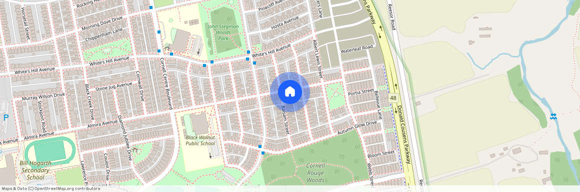 103 Shady Oaks Avenue, Markham