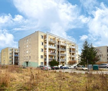 Od zaraz/balkon/akceptujemy zwierzęta - Zdjęcie 5