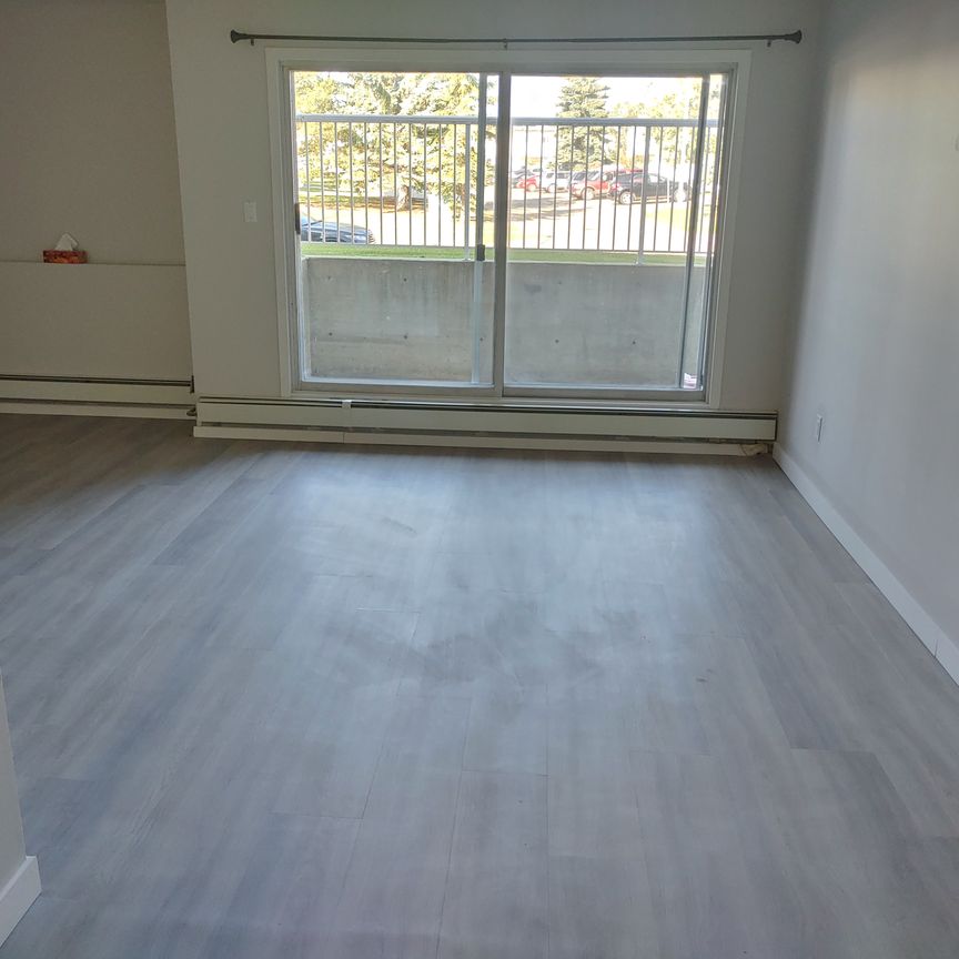 Palisades Manor - Photo 1