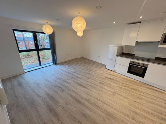 ERASMUS DRIVE - Photo 1