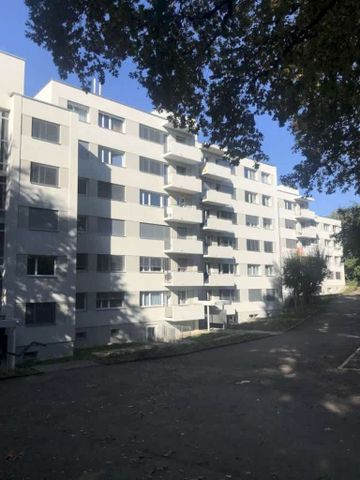 3.5 Zimmer, 79 m², 1. Stock - Foto 5