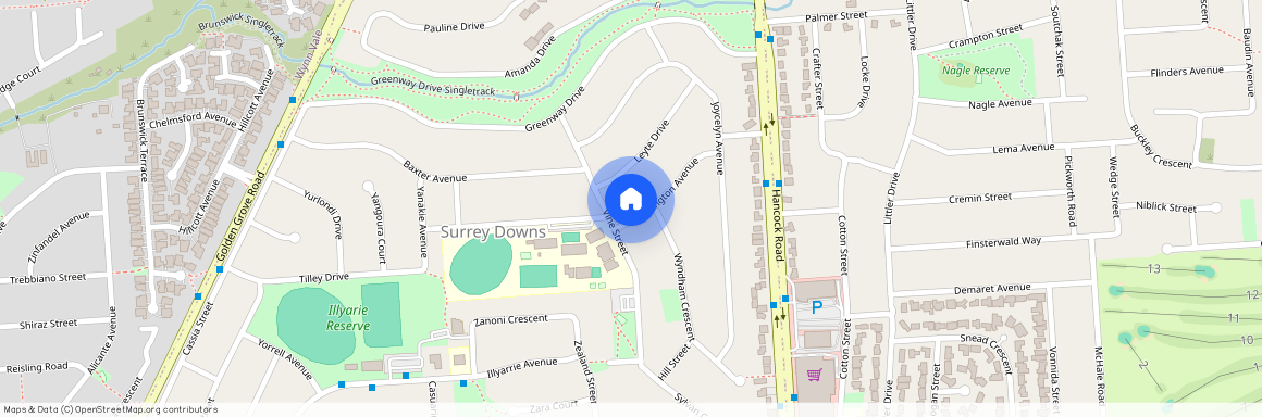 4 Addington Ave, SA 5126, Surrey Downs