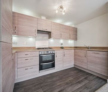 Springfield Gardens - Photo 2