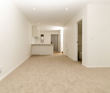 Brand new two bedroom + study with 3 heatpumps!!! - Photo 1