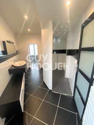 Appartement T4 MEUBLE duplex (106 m²) TOULOUSE terrasse et garage - Photo 1
