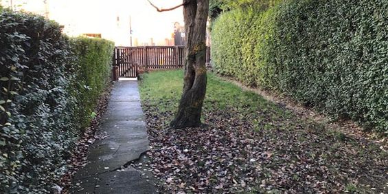 53b Brudenell Rd, Leeds, LS6 1EE - Photo 3