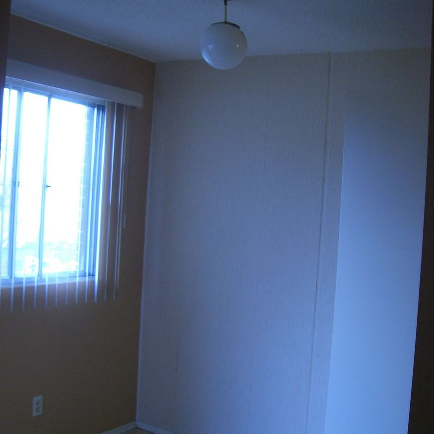 3 Bedrooms,large apartment! Amazing Location! Close to U of C! - Photo 1