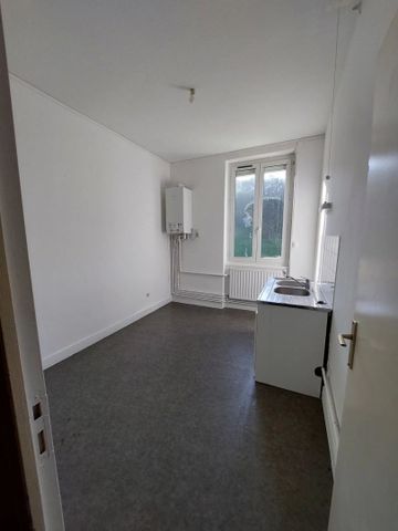 Appartement T2 à louer , Saint-Étienne - Photo 4