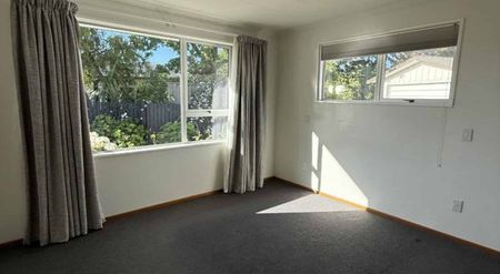 Sunny Family Home in Renwick - Photo 4