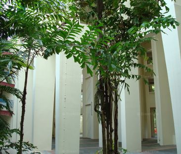 Blk 589A Montreal Spring (Sembawang), HDB 4 Rooms - For Rent - Photo 4