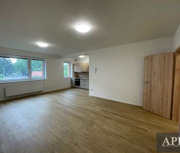 Pronájem bytu 1+kk 43 m² - Photo 1