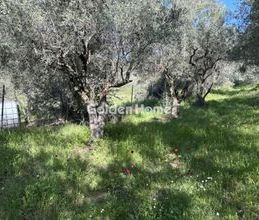 Μονοκατοικία για ενοικίαση - Μηλιές, - Photo 6