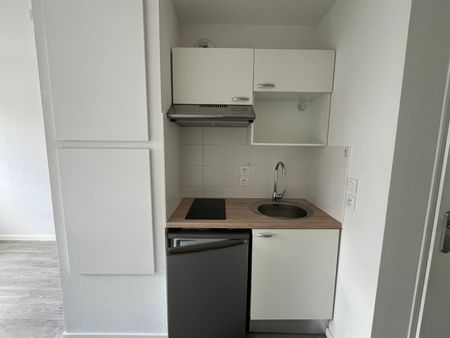 Location Appartement 1 pièce 19m² AUZEVILLE TOLOSANE 31320 - Photo 3