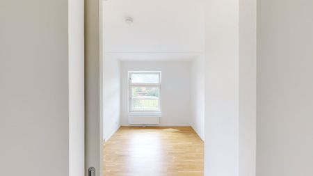 Velindrettet 3'er med stort køkken-alrum - Photo 2