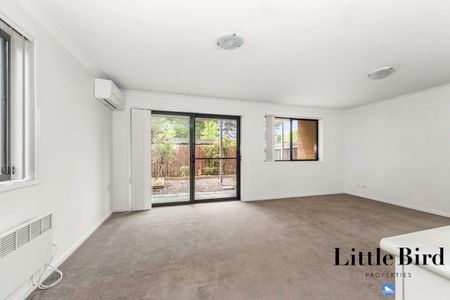 Light filled Ground Floor Apartment! - Photo 2