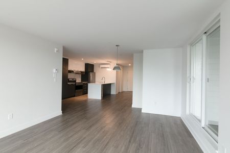 9675 Av. Papineau - Photo 3