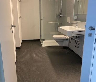 Naturnahes Wohnen direkt an der Limmat - Foto 1