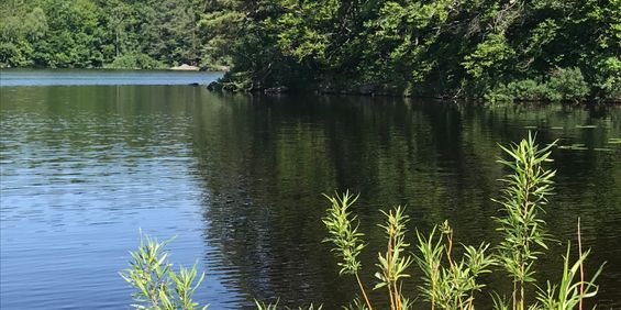 Gamla byvägen, Immeln - Photo 3