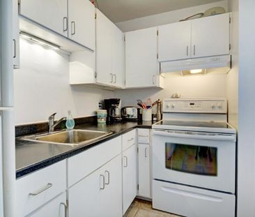 Appartement 3 ½ à louer Sainte-Foy / Sillery janvier 2026 - Photo 4