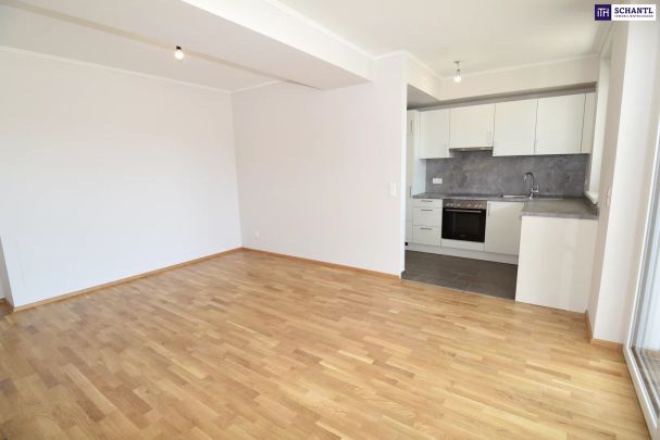 Einziehen und rundum Wohlfühlen! Das ist in dieser 3-Zimmer-Wohnung garantiert! - Foto 1