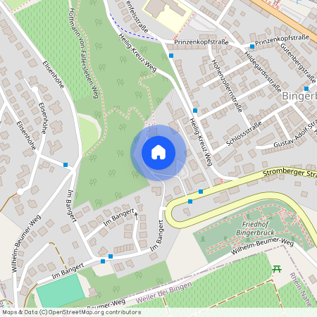 Stromberger Str. 36, 55411 Rheinland-Pfalz - Bingen