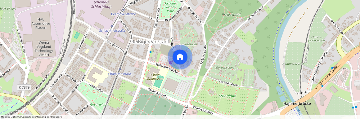 Schubertstraße 8, 08525 Plauen