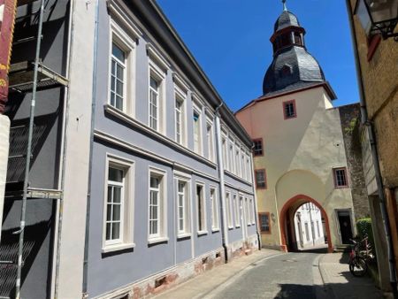 EUPORA® Immobilien: "Erstbezug", sanierte Wohnung in der Altstadt in Kirchheimbolanden. - Foto 4