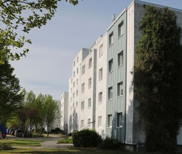 2-Zimmer-Wohnung mit offener Küche // 1.OG mitte - Photo 1
