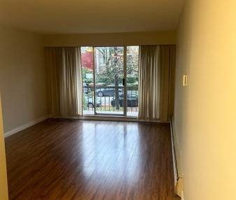 Large One Bed near Marpole Loop Available March 1st or earlier - Photo 4