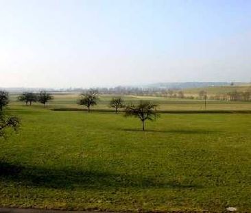 4 Zimmer, EG - Photo 5