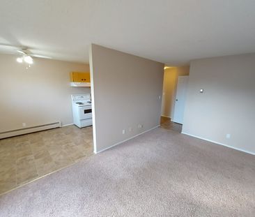 Dog Friendly 2 Bedroom Apartment! In-Suite Laundry!!! - Photo 4