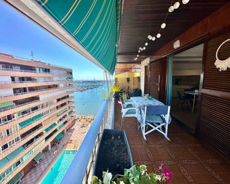 RENTAL IN THE FIRST LINE OF THE BEACH IN TORREVIEJA - ALICANTE PROVINCE - Photo 4