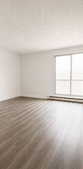 2 CH - 1 SDB - Montréal - $1,250 /mo - Photo 1