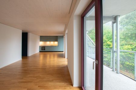 Modern life in the Stadtsägi - Photo 2