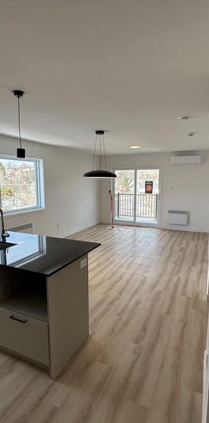 3 1/2 Neuf à Louer - Photo 1