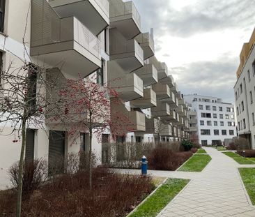 Mietwohnung in Ludwigshafen - Kleine gemütliche Wohnung in toller L... - Foto 2