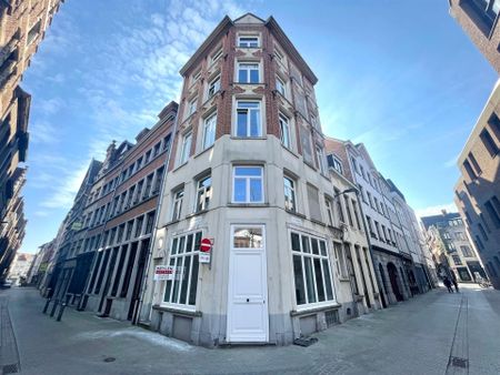 Gelijkvloers appartement in hartje Antwerpen! - Foto 3