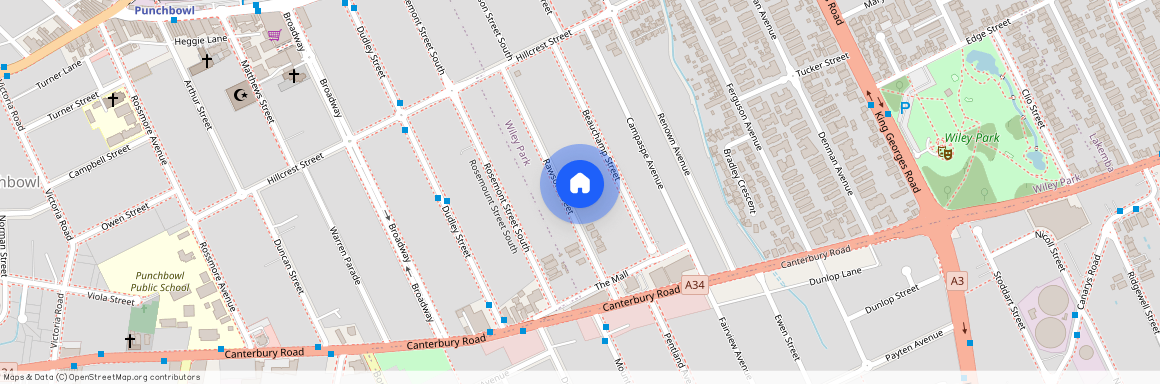 54 Rawson Street, NSW 2195, Wiley Park