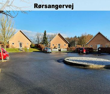 Rørsangervej,Teglvænget,Birkefredsvej 446-0 - Photo 1