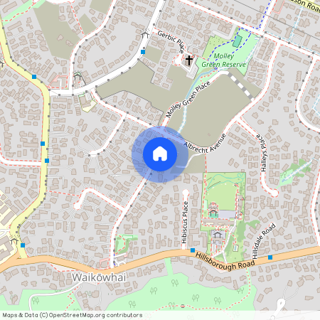 37 Quona Avenue, Mount Roskill, Auckland City