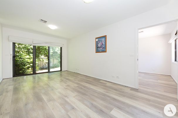 33A Majura Ave, Ainslie ACT 2602 - Townhouse For Rent | Domain - Photo 1