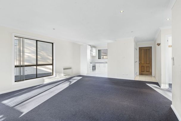 Charming Two Bedroom Unit - Photo 1