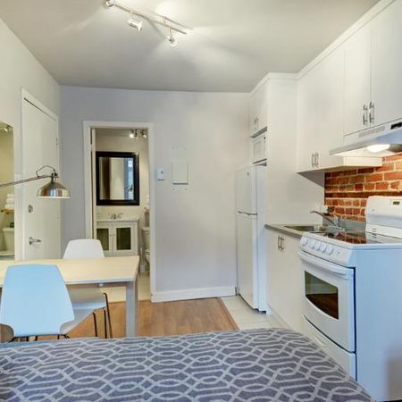 Loft entièrement meublé à louer Saint-Jean-Baptiste août 2026 - Photo 4