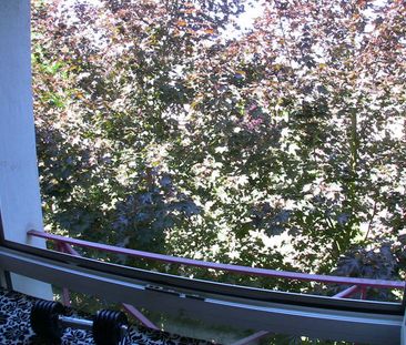 Appartement 1 pièce à Illkirch-Graffenstaden - Photo 3